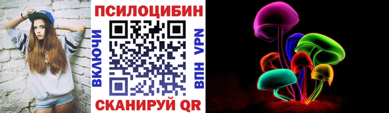 где купить наркотик  Кудрово  Псилоцибиновые грибы MAGIC MUSHROOMS 