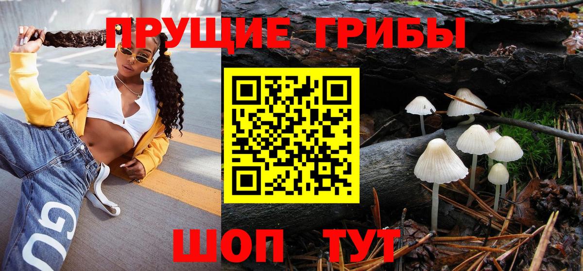 Псилоцибиновые грибы ЛСД  Вход с VPN  Кудрово  Галлюциногенные грибы Cubensis 