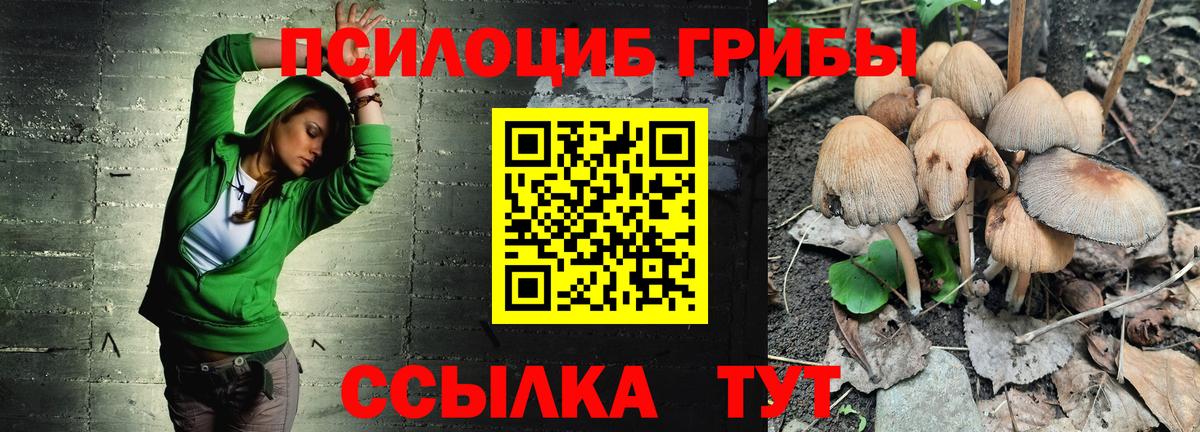 Псилоцибиновые грибы мицелий Кудрово
