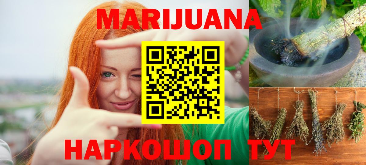 Каннабис планчик Кудрово
